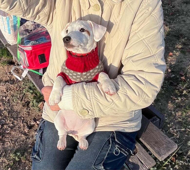 Красотуля ищет маму