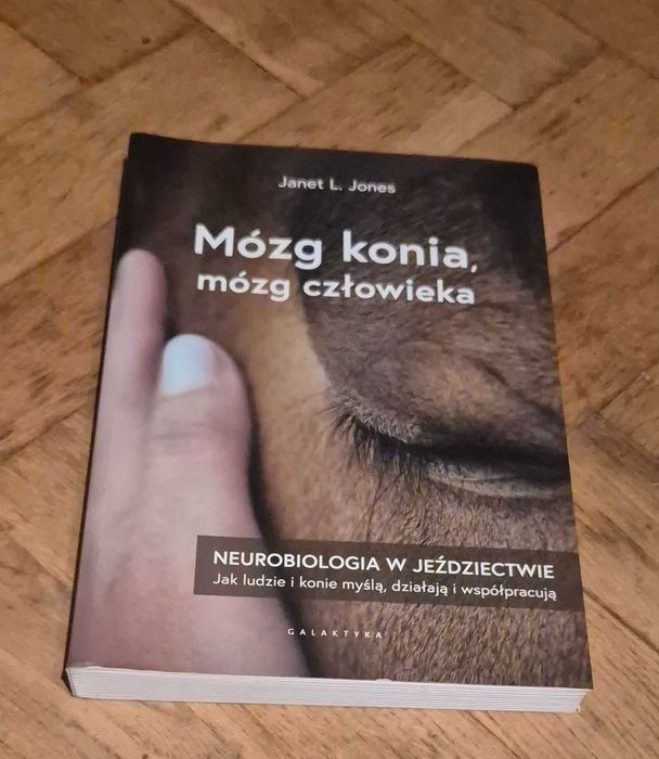 Książka jezdziecka