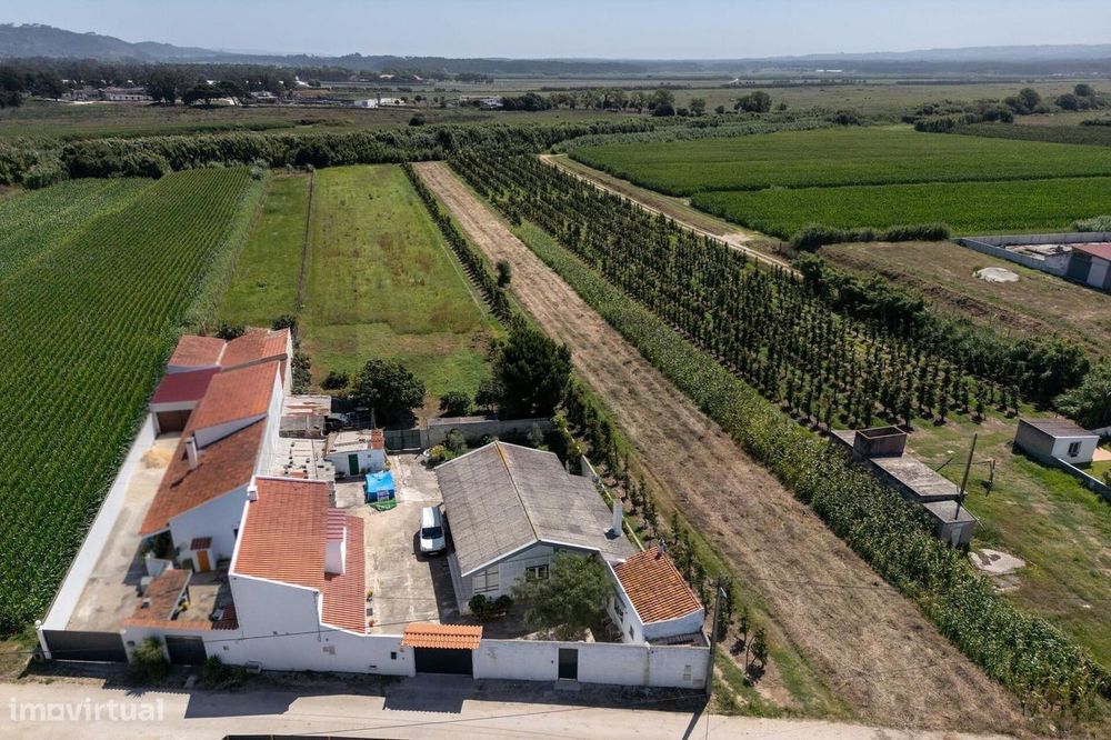 Moradia T4 + T2 - Quinta com 4.400 m2 - São Martinho do Porto