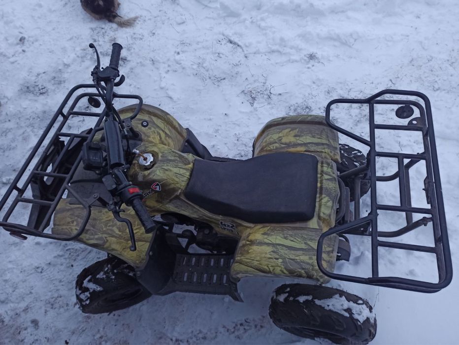 Квадроцикл Spark SP110 2x4