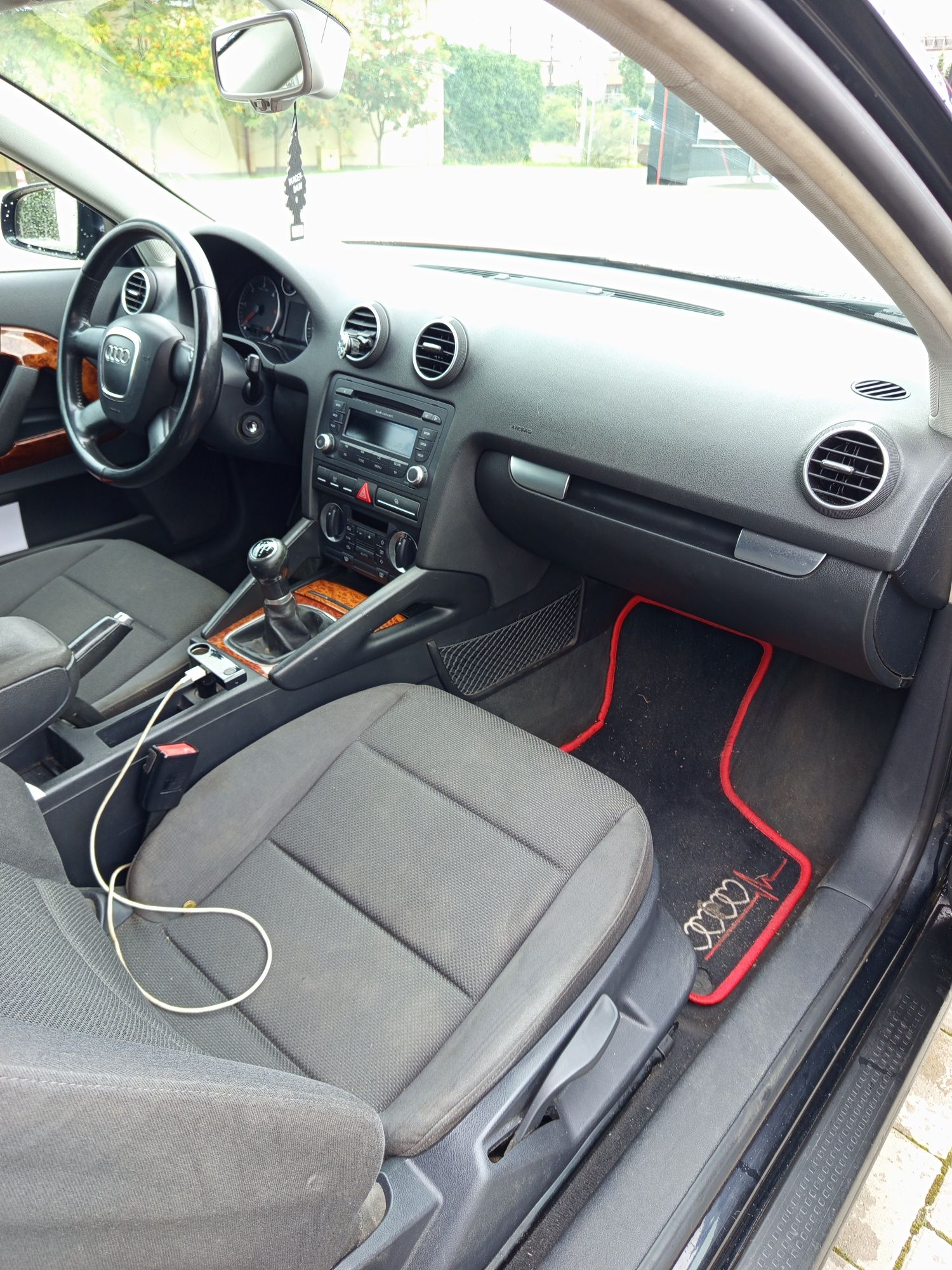 Audi A3 8p 1.9 TDI