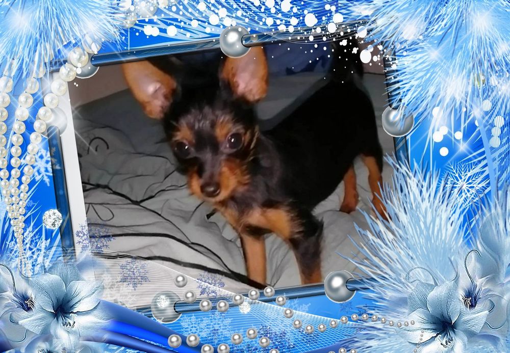 Кукольная Мини кроха