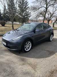 Tesla model Y 2021