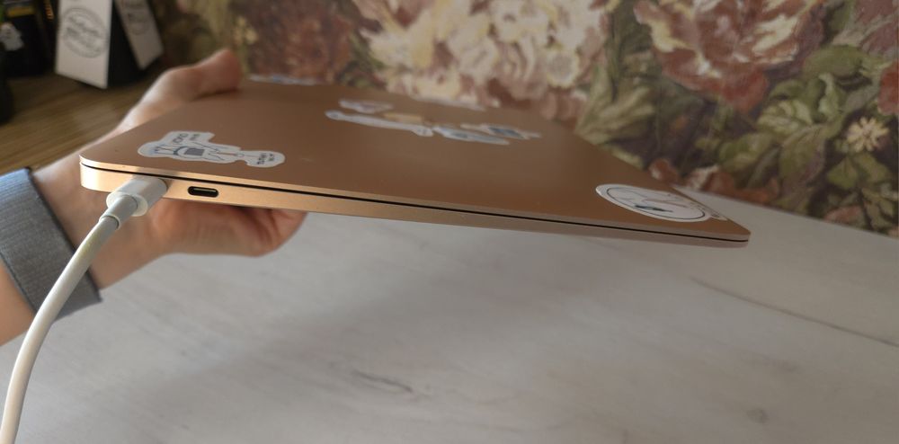 MacBook Air 13, 2018 8/259GB