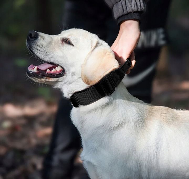 Mega Mocna Solidna Obroża Taktyczna Do Dużego Psa Metalowa Klamra 45-6