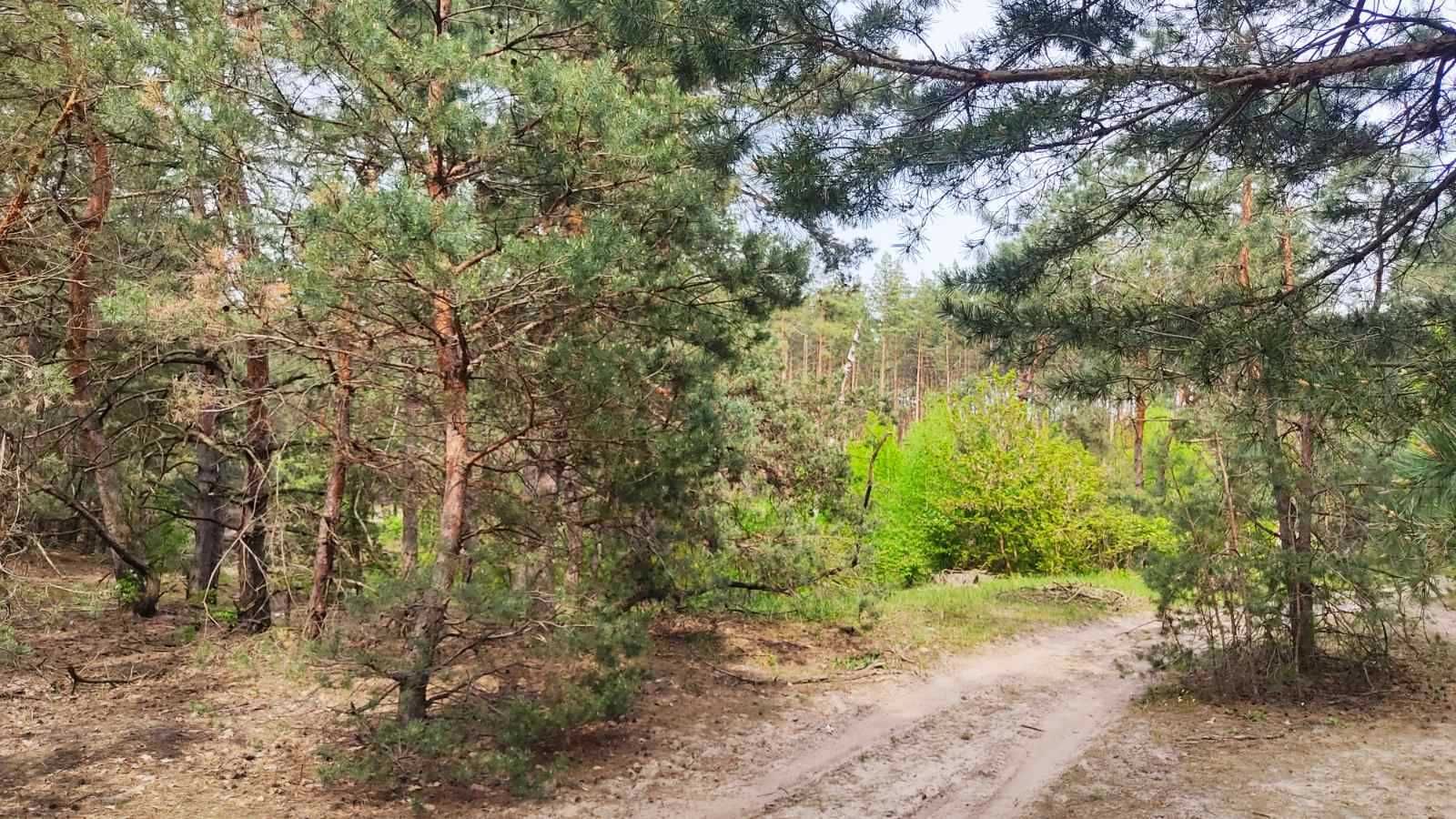 Ексклюзивна ділянка у с.Лебедівка, Вишгородського району.