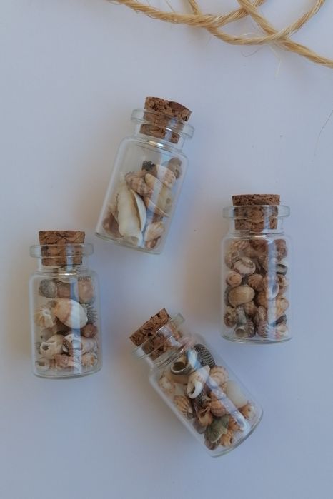 Conjunto 4 frascos conchas e buzios