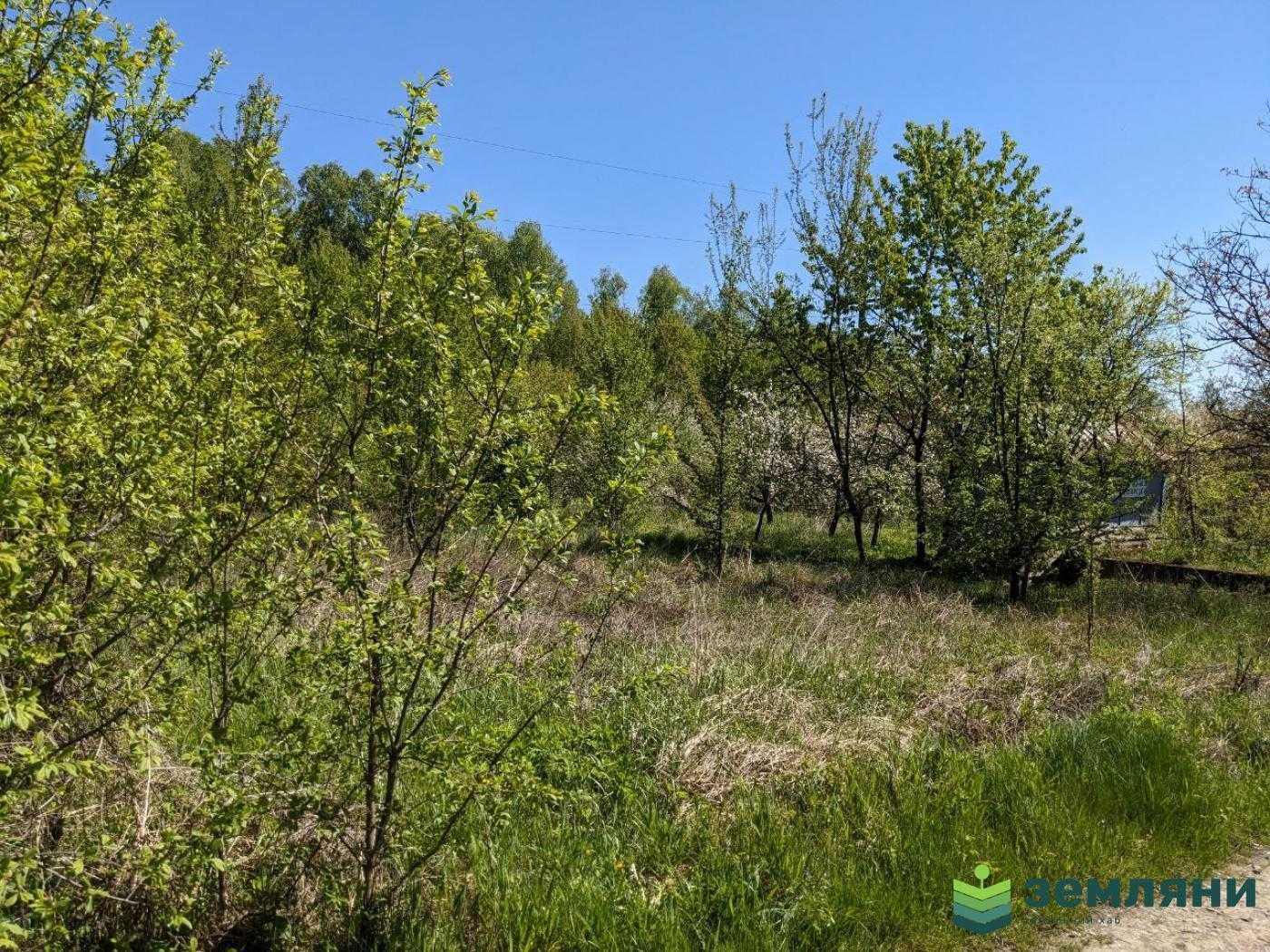 Продаж дачної земельної ділянки в СТ Хімік - 2, Тязів