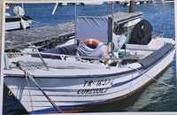 Barco de pesca profissional com licenças para operar no Tejo