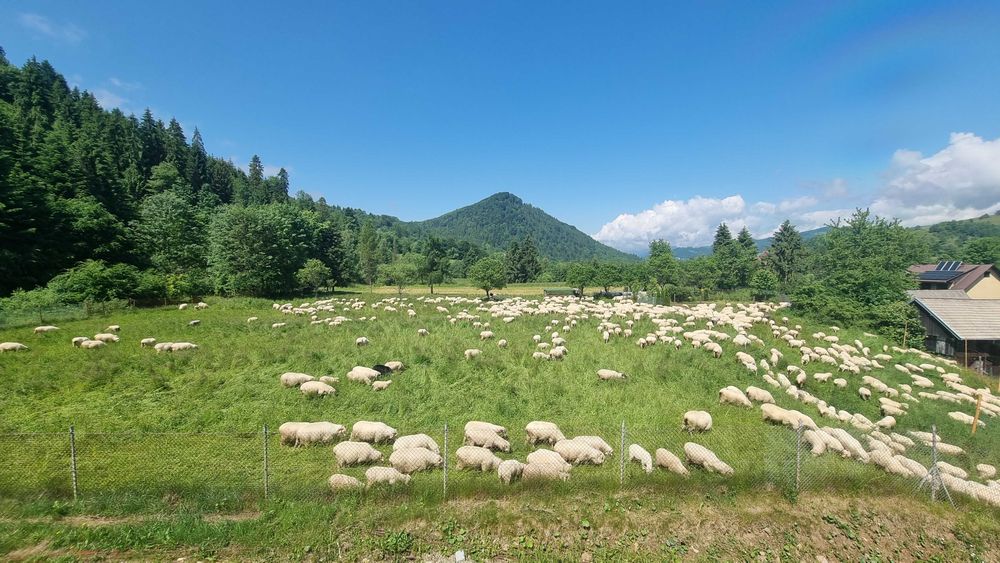 Apartament Korona Pienin - Noclegi Szczawnica,Szlachtowa,Jaworki