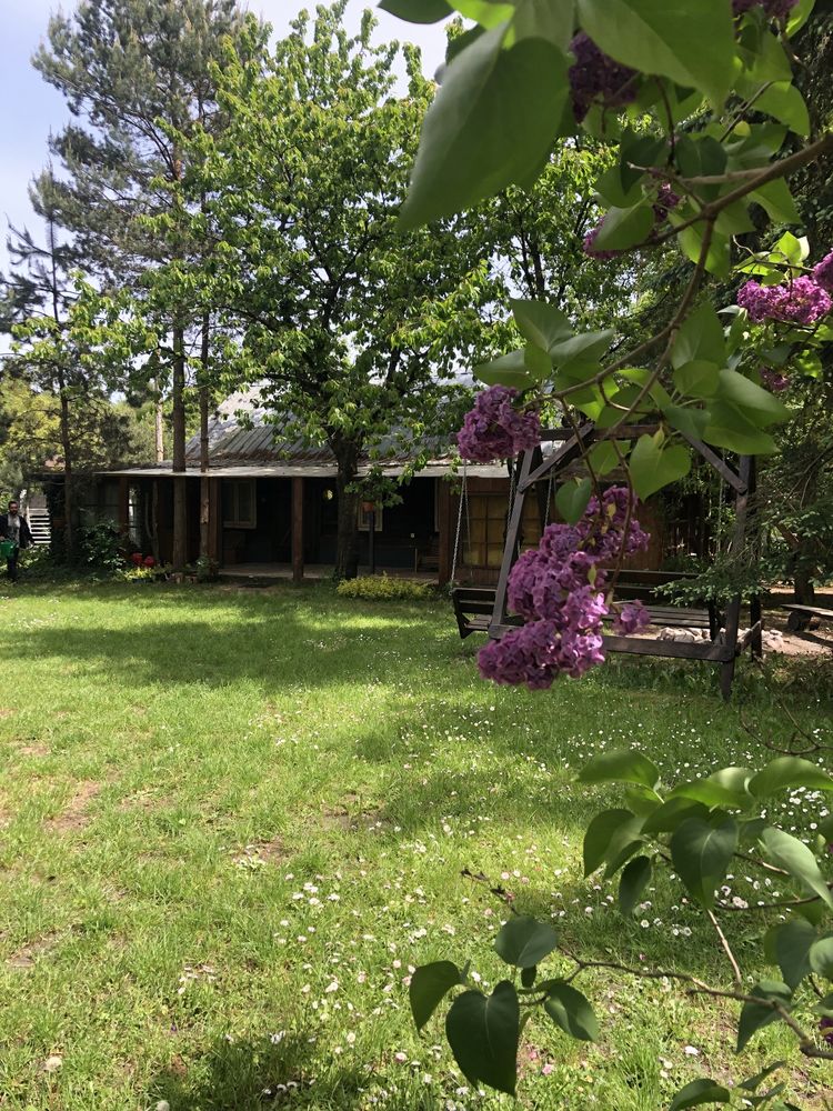 Domek do wynajęcia - agroturystyka nad Bugiem