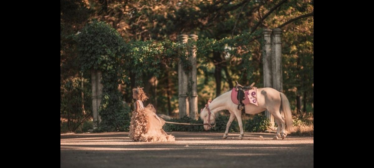 Шикарные пони на День Рожденье!Фотосессии.
