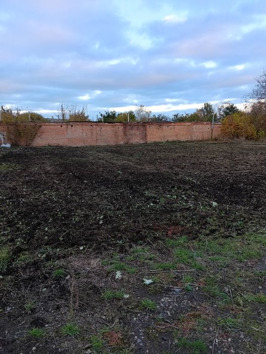 Зрізати дерево. Розчистка