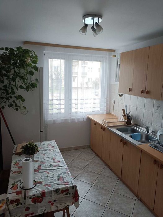 Pokój jednoosobowy do wynajęcia