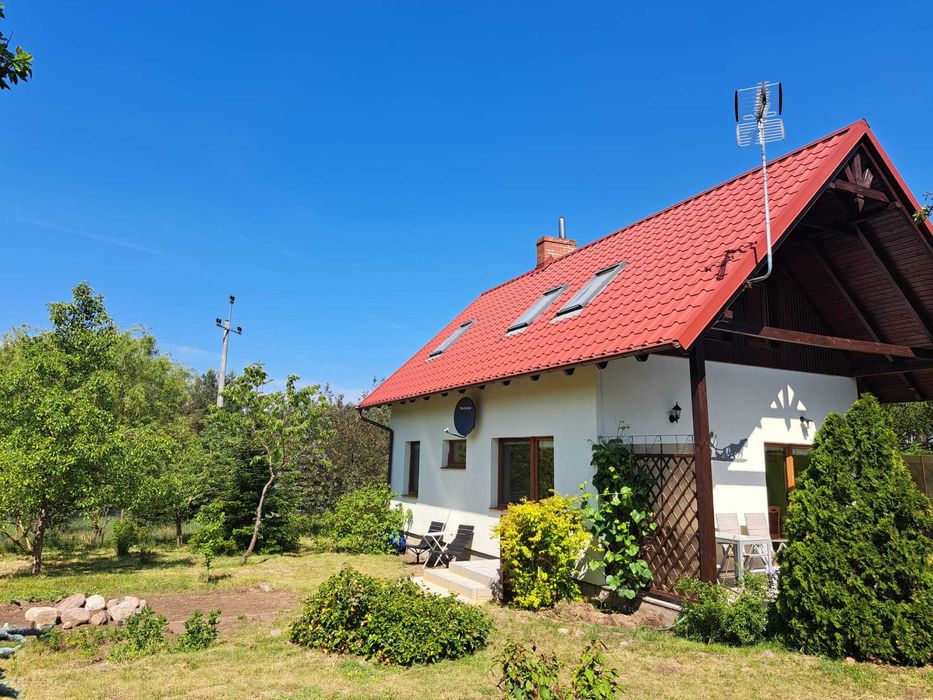 Domek na Prerii- Bory Tucholskie CZAS W LAS GRZYBOBRANIE 2025.
