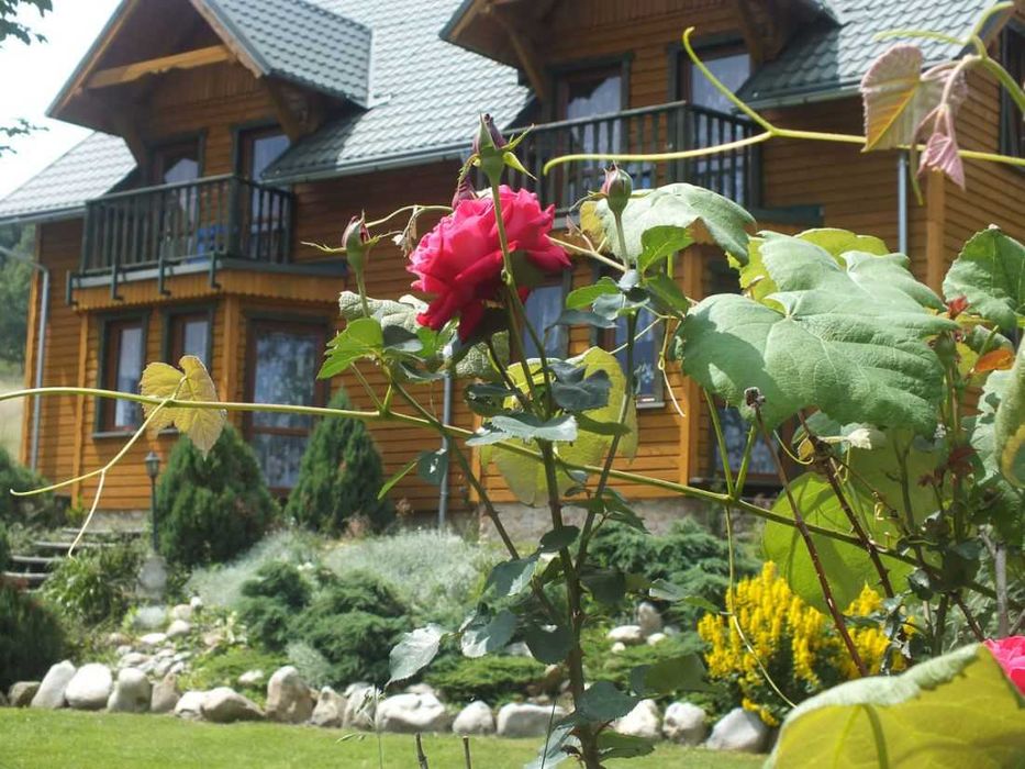 Domki Czarna Góra-Jacuzzi chta grillowa sauna w cenie  ferie sylwester