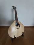 Guitarra Portuguesa APC
