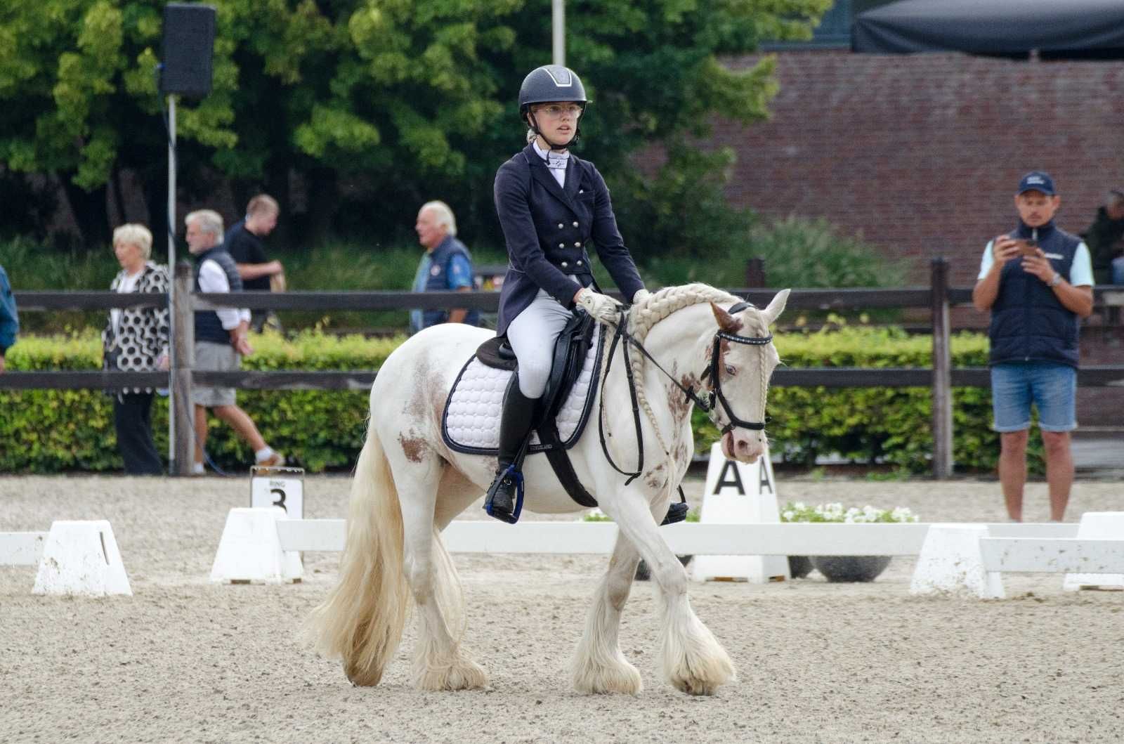 Kon ujezdzenie sport klacz tinker irish cob kuc grupa C