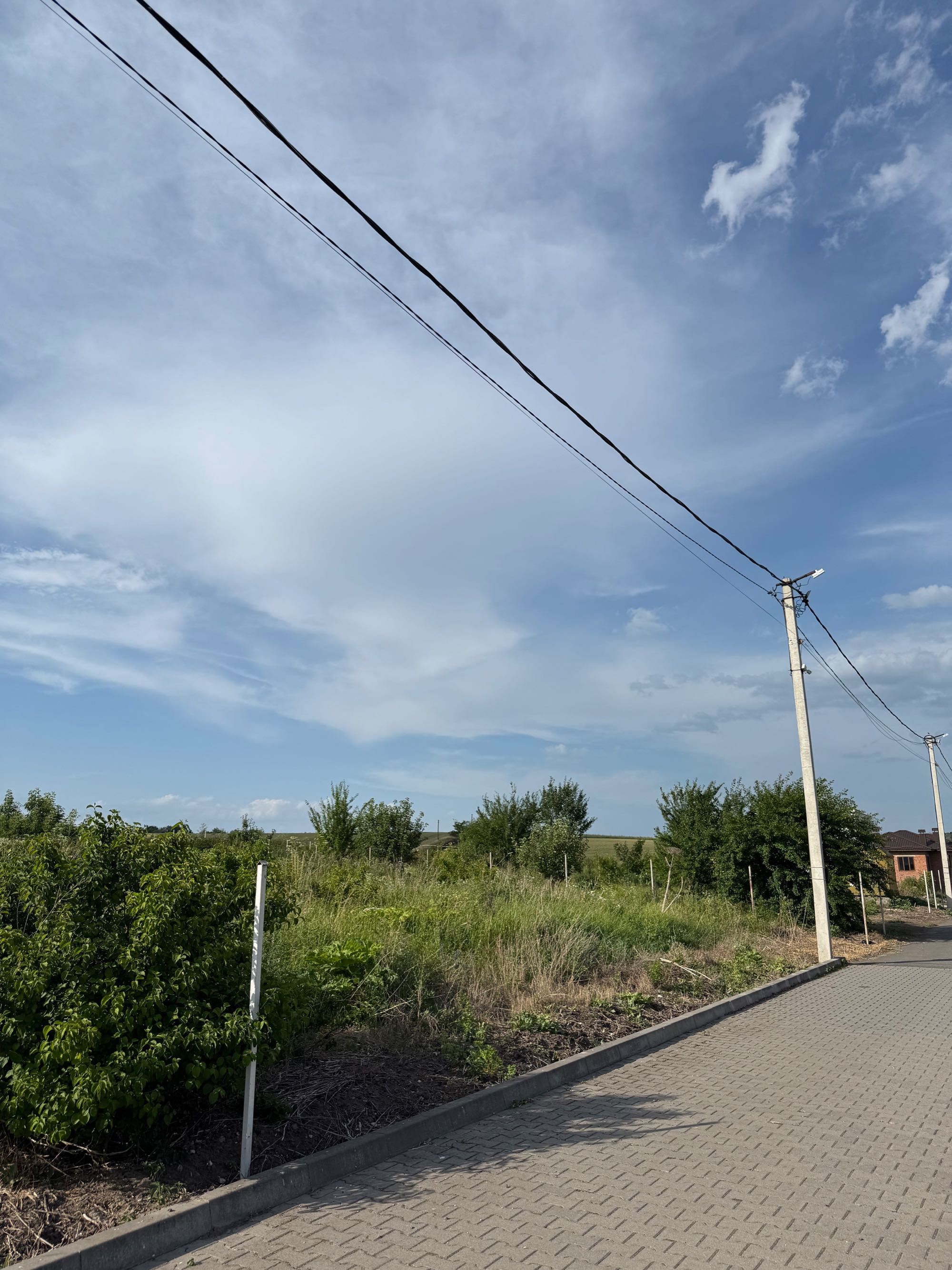 Продаж земельної ділянки біля води та соснового лісу
