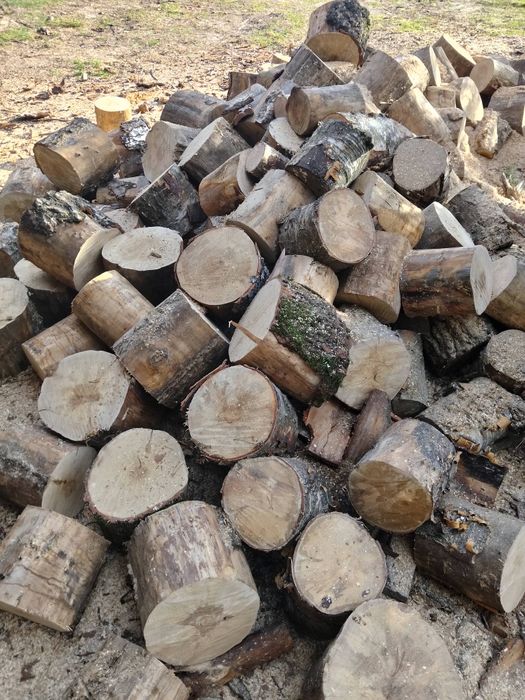 Drewno opał brzoza, aktualizacja