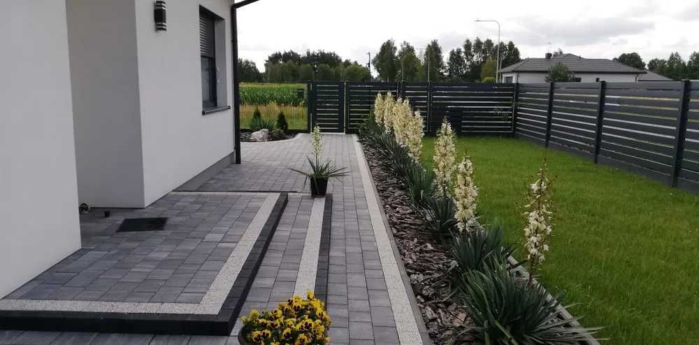 Juka ogrodowa karolińska Yucca w doniczce