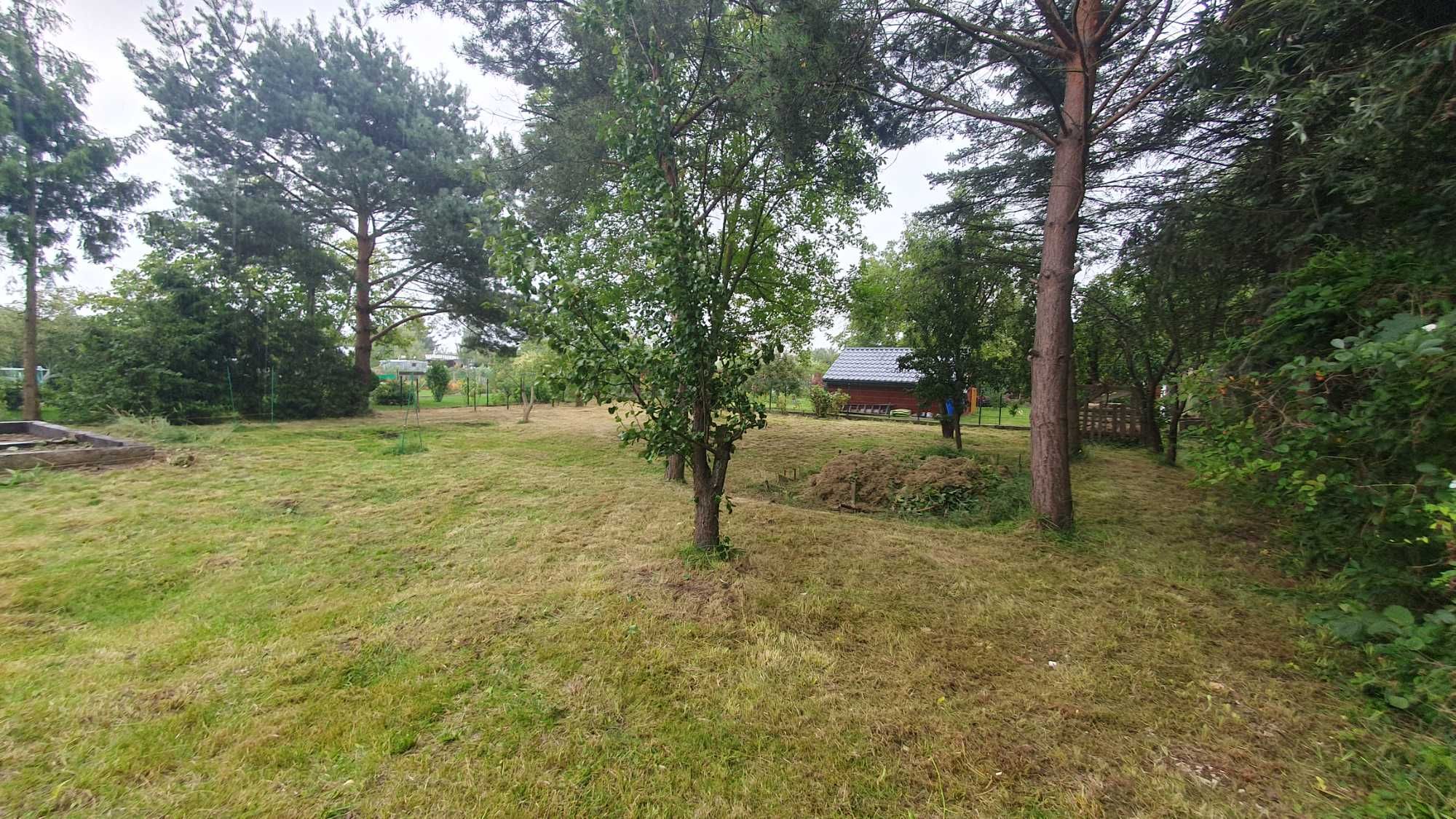 Działka ROD Jutrzenka - nad wodą