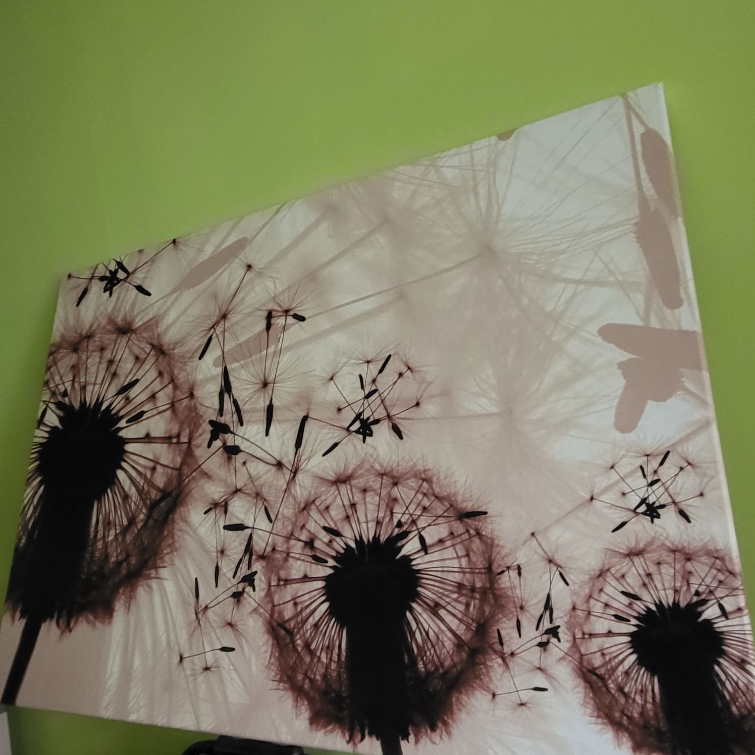 Obraz z dmuchawcami 70x100 cm