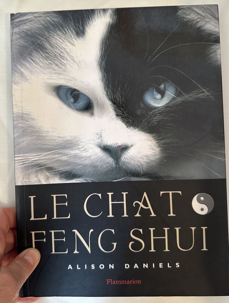 Le chat feng shui, em francês