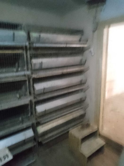 Клетки для перепелов