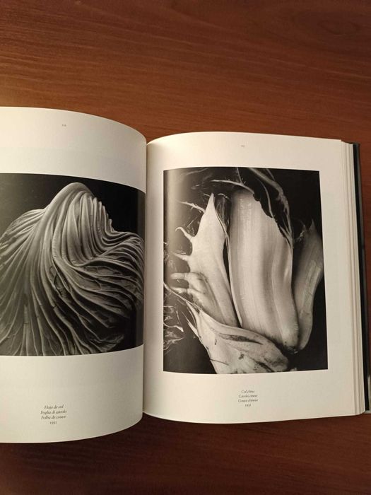 Livros Fotografia: Edward Weston, Man Ray, Lois Greenfield