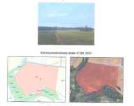 syndyk sprzeda grunty orne - dz. nr 298 i 303/1 położone w Radominie