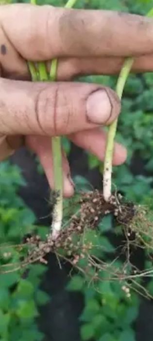 Продам технологию производства жидких удобрений.