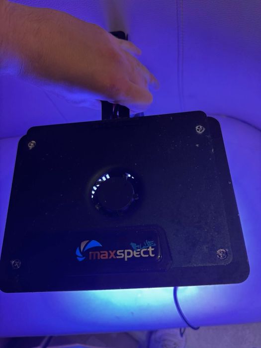 Lampa akwarium morskie Maxspect jump blue