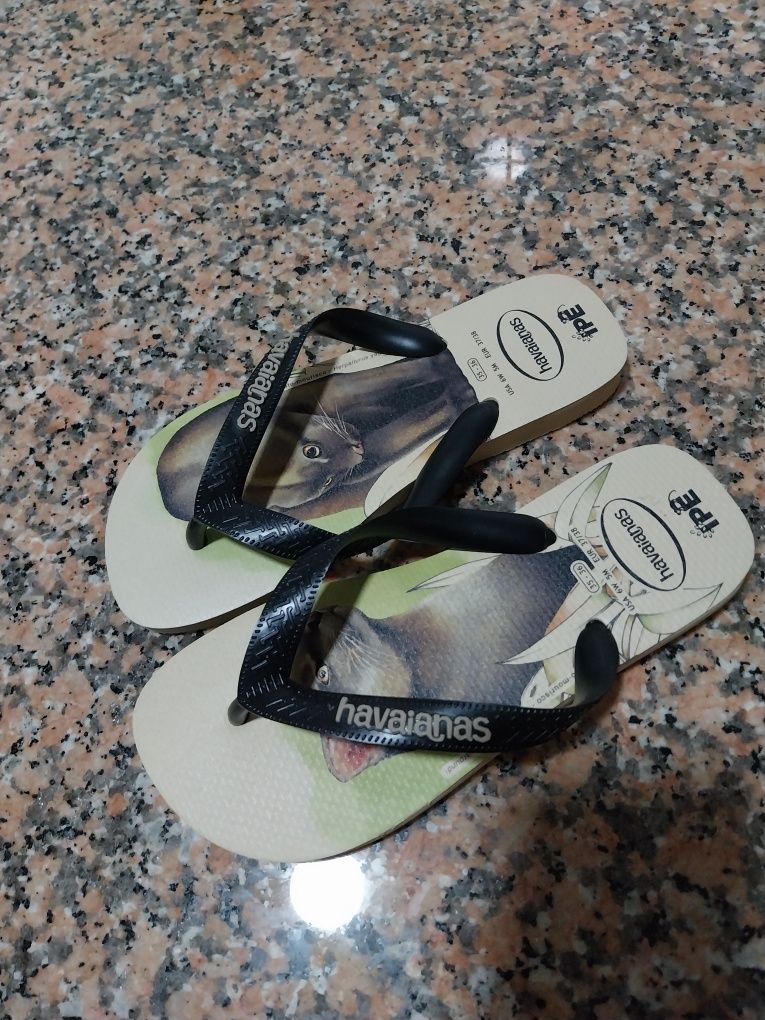 Chinelos Unissexo Havaiana Novos