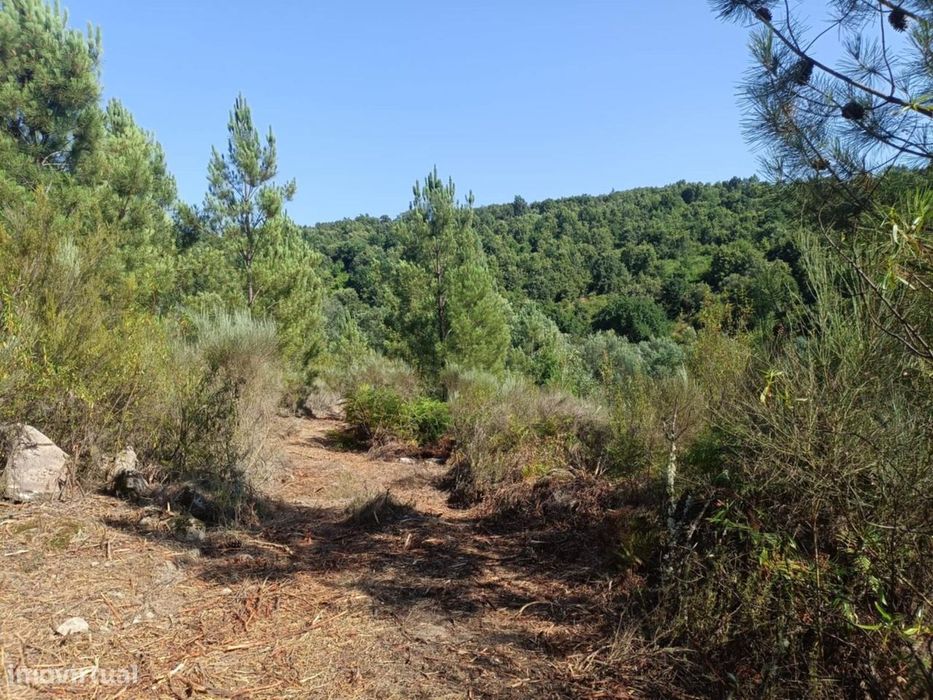 Terreno Rústico  Venda em Algodres,Fornos de Algodres