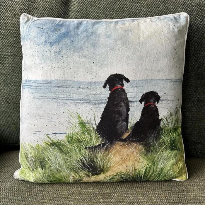Poduszka CU57 Psy na wydmach oprawa: folia