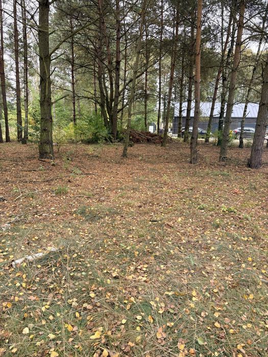 Działka budowlana z WZ