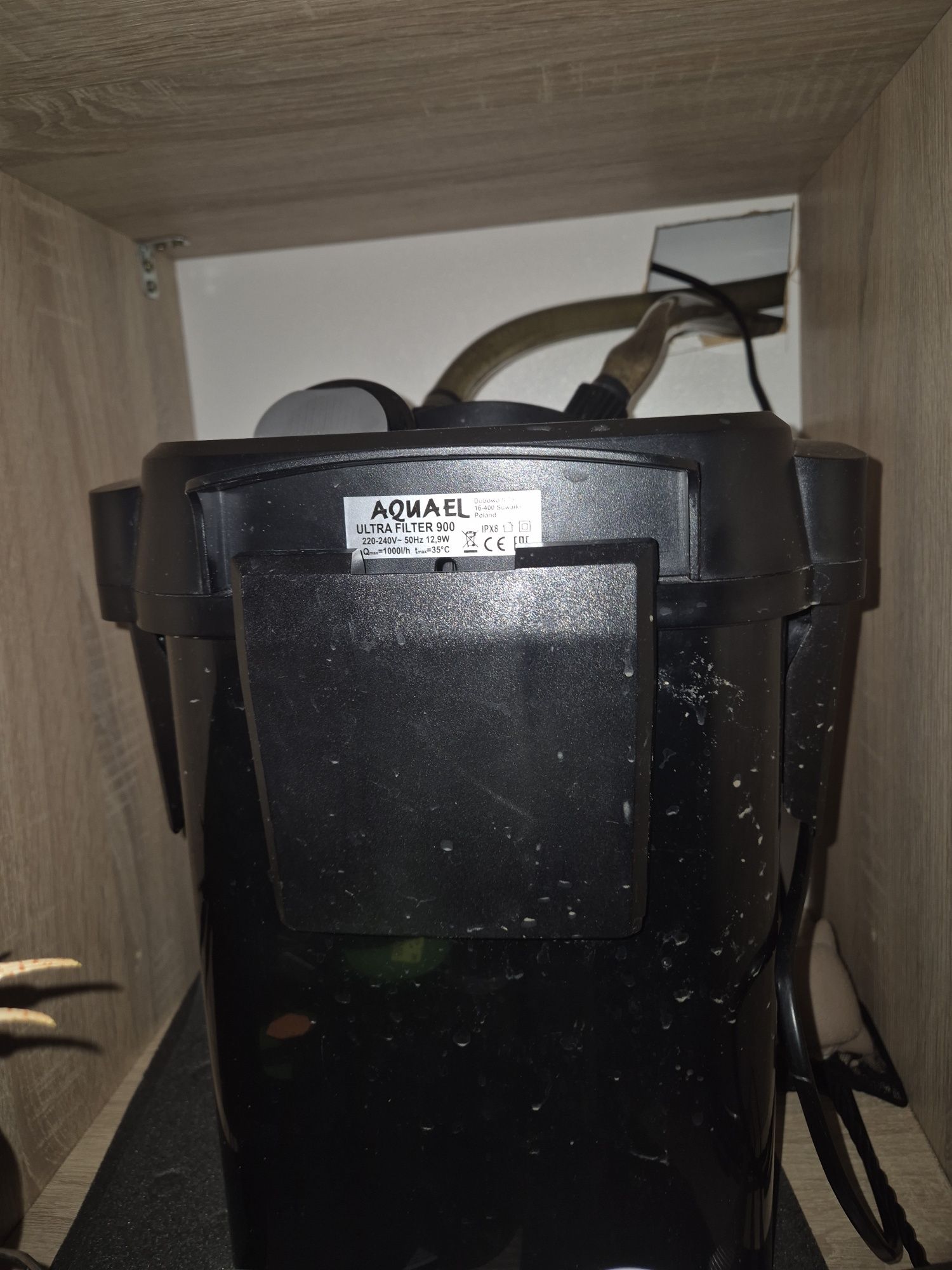 Akwarium Malawi 190L + pyszczaki + akcesoria