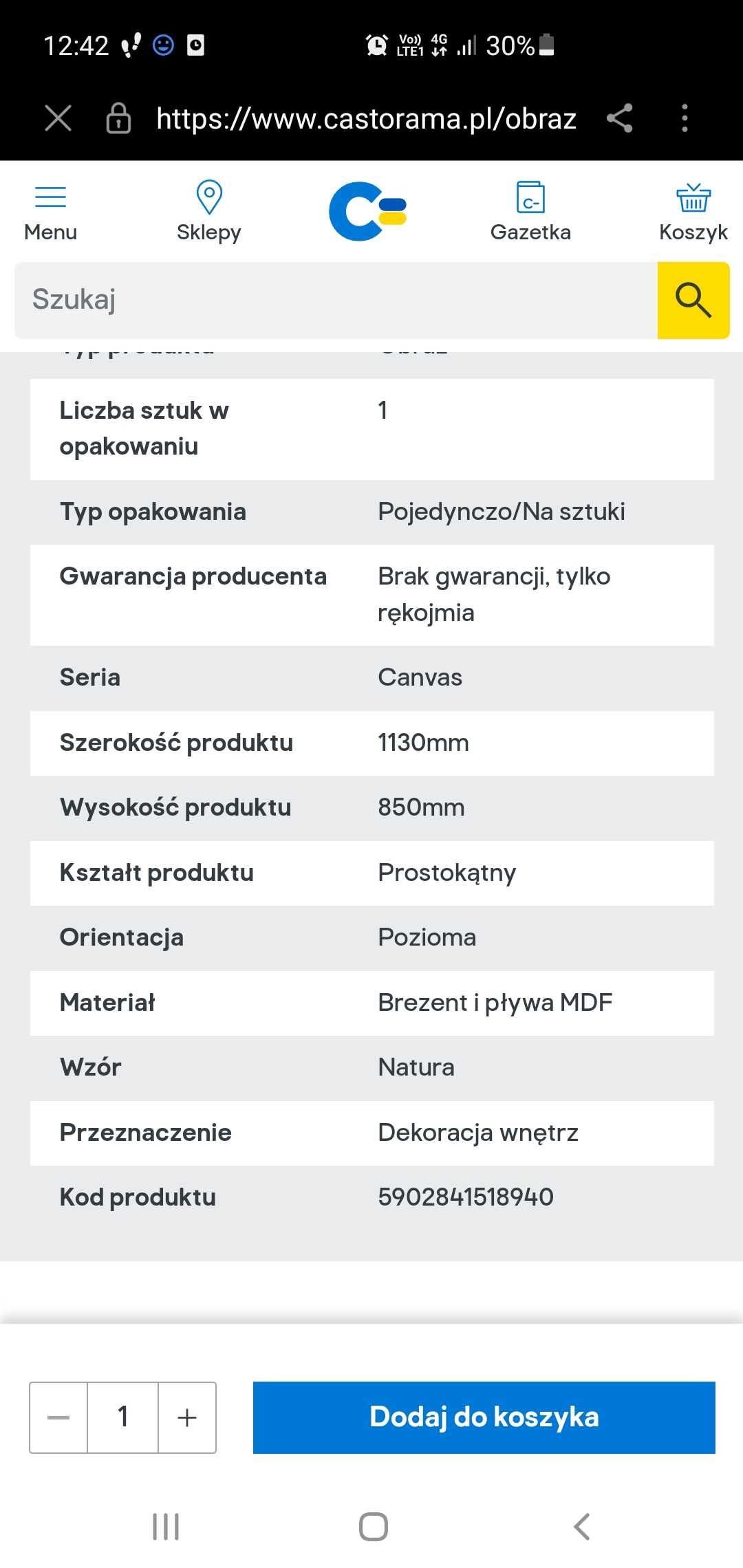 Obraz Na Płótnie  Kobieta Boho