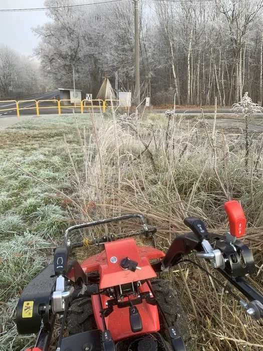 Karczowanie działek, wycinka drzew, czyszczenie pod budowę, sprzedaż