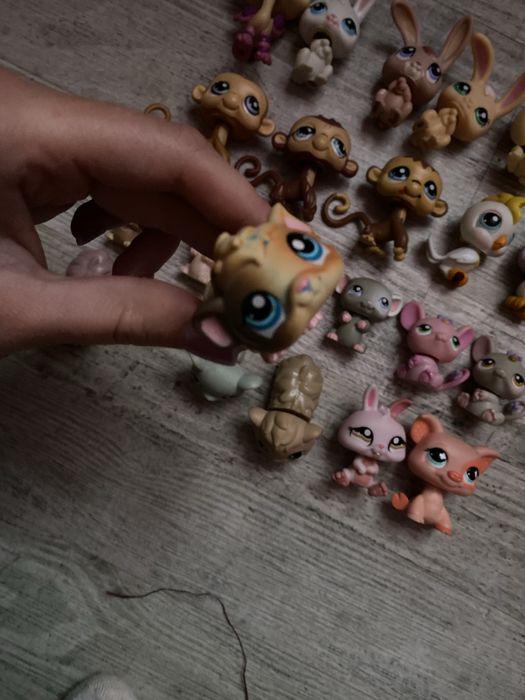 LPS Littlest pet shop zestaw
