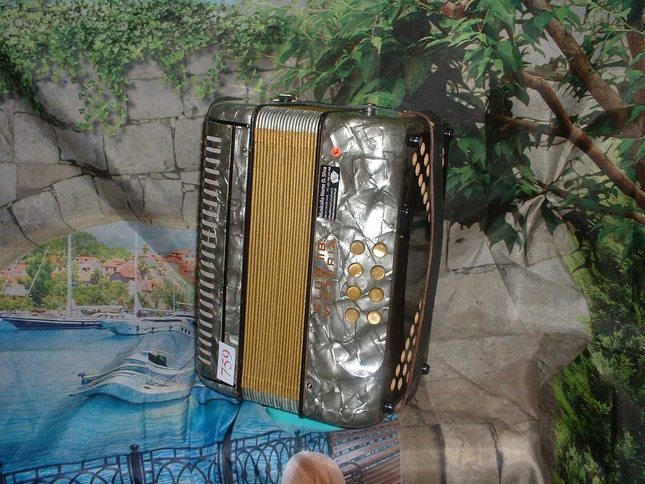 Concertina a venda n.759