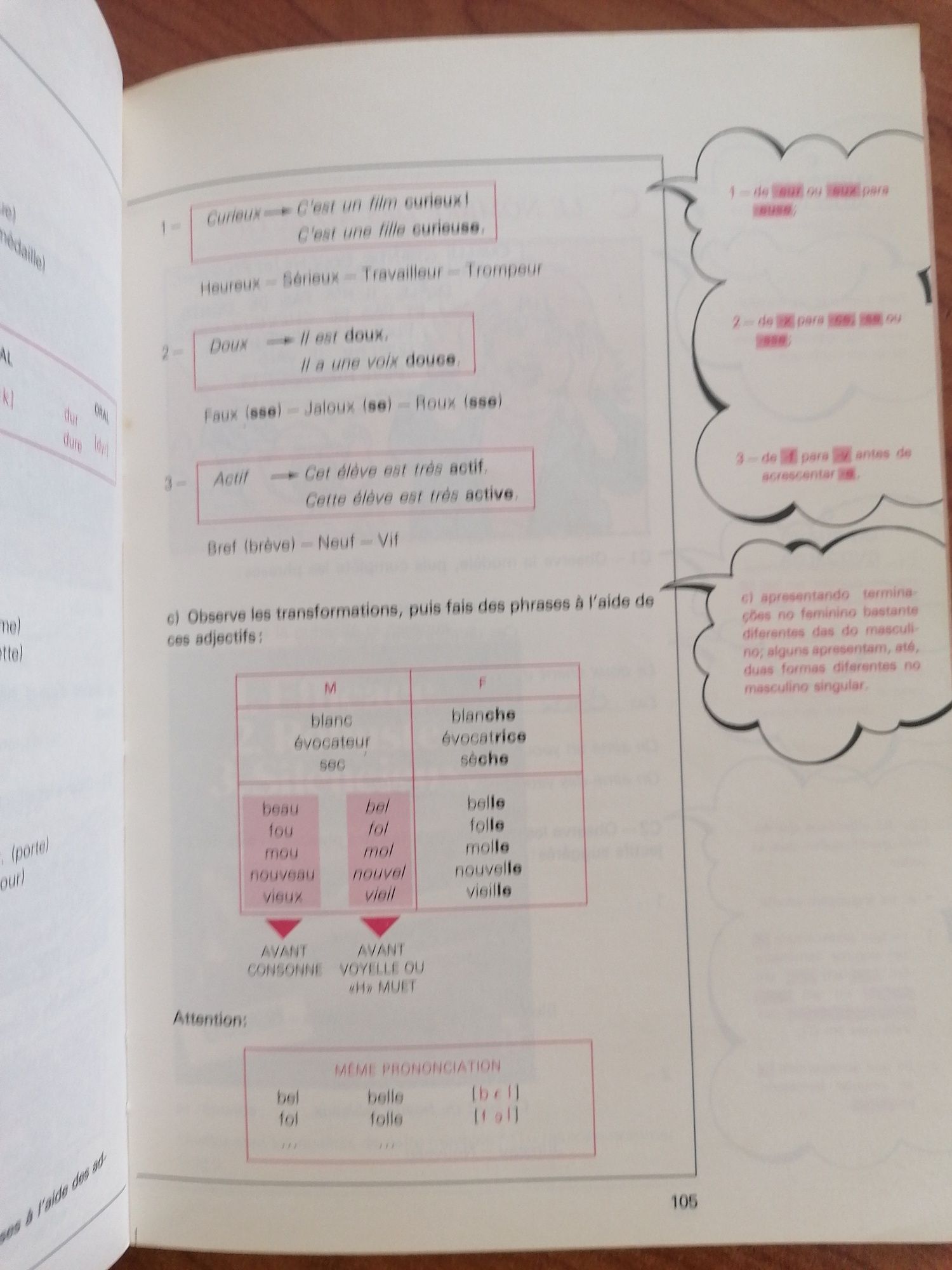 Gramatica de língua Francesa