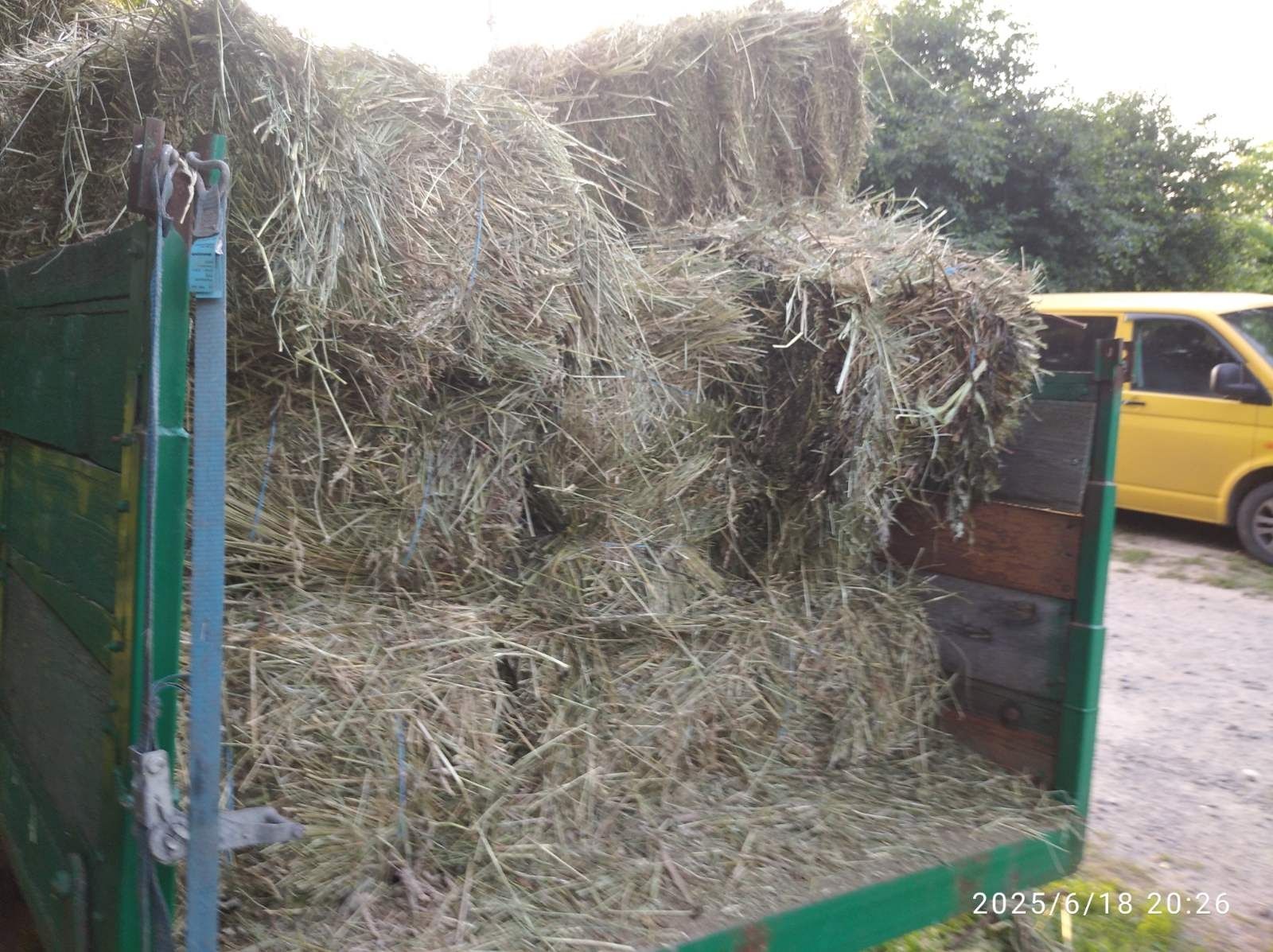Продам тюки сіна