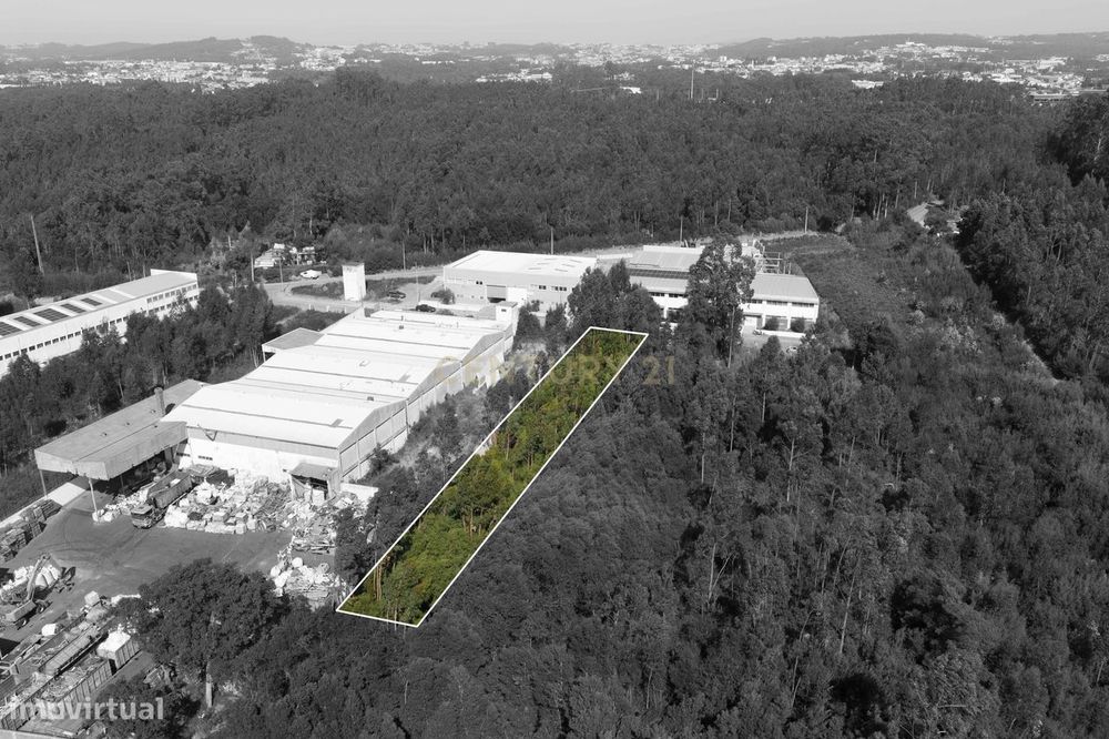 Terreno Industrial - Paramos