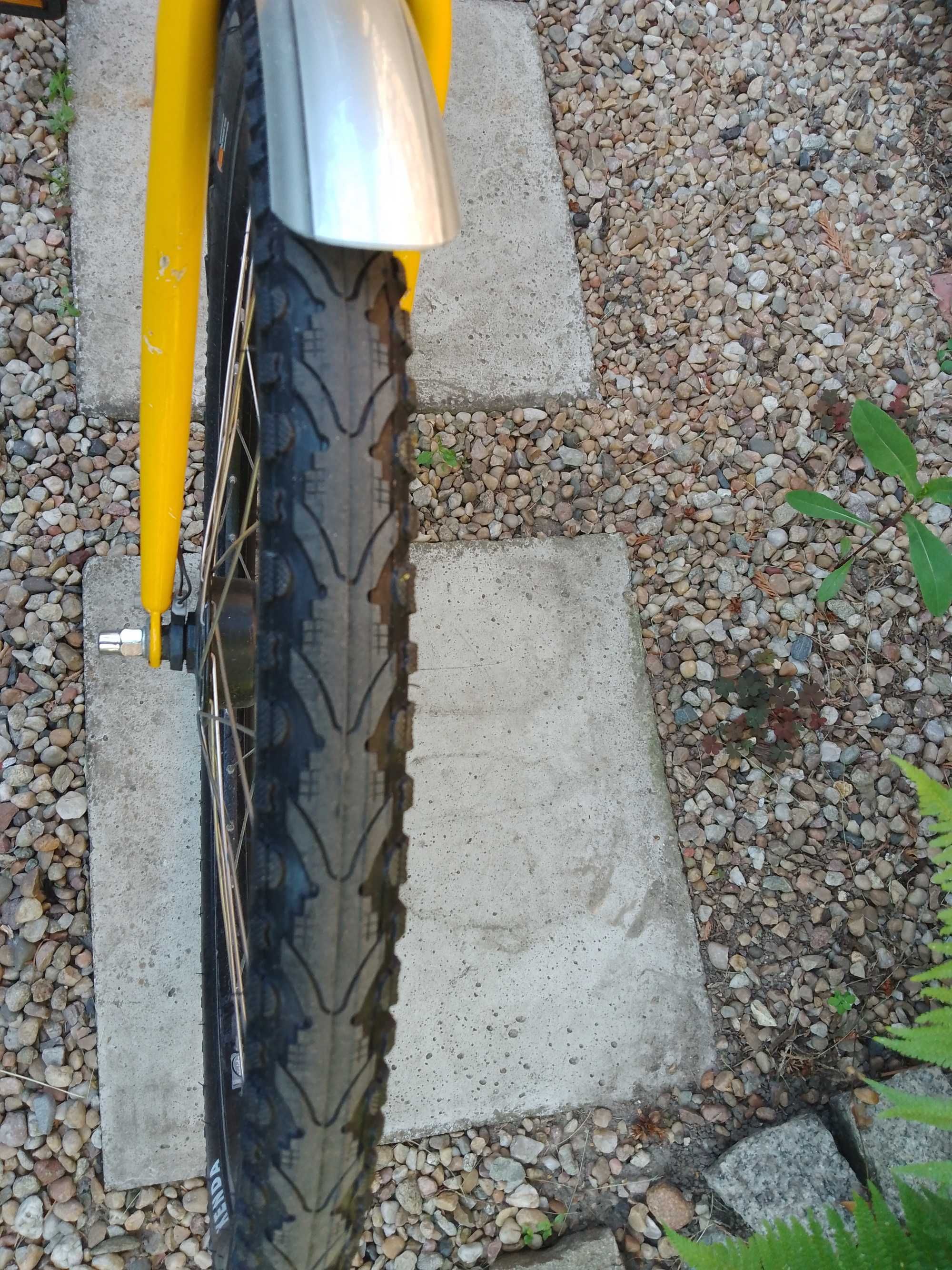 Rower Union Nexus 7 dynamo w przedniej piaście