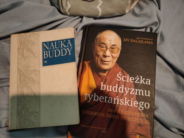 Ścieżka buddyzmu,nauka buddy