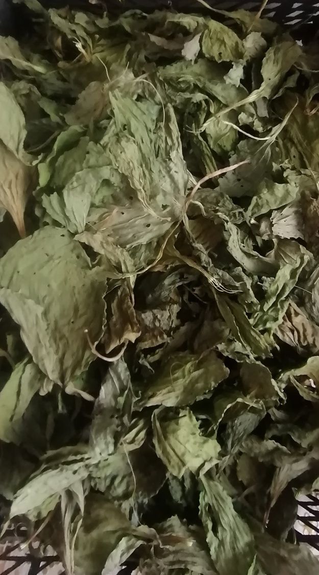 Календула, зубрівка, подорожник, полин, інші лікарські трави