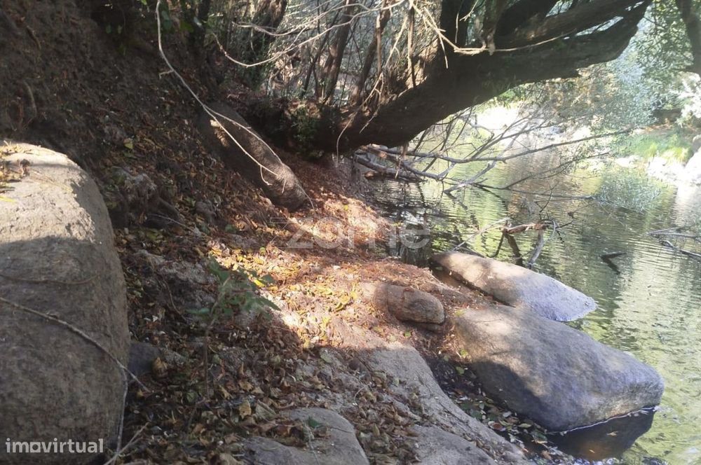 Quinta Única Encostada ao Rio Mondego – Um Refúgio Natural de Sonho...