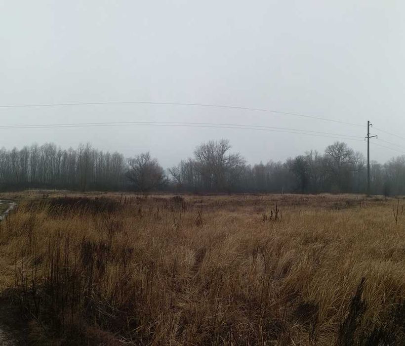 Ділянка на березі Десни